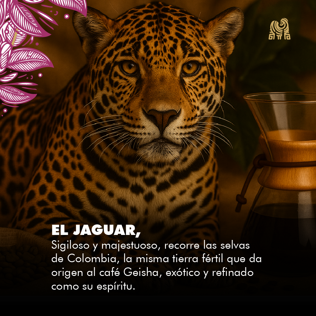 Geisha Honey 2.5kg - Image 3